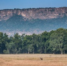 Peaceful Escape Into Nature