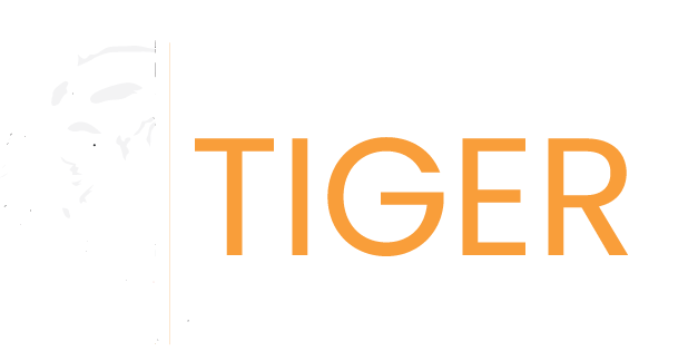Madhya Pradesh Tiger Safari